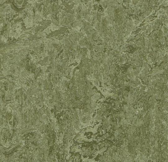 Линолеум Marmoleum Real 3255 Forbo