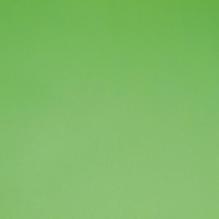 Спортивный линолеум Forbo Sportline standart 03040