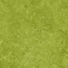 Линолеум Marmoleum Real 3247 Forbo