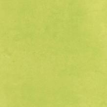 Линолеум Forbo Smaragd Lux 6363