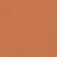 Линолеум IVC Corsa Marras T64