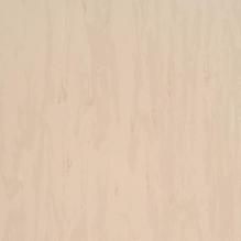 Линолеум Armstrong Solid 521-048